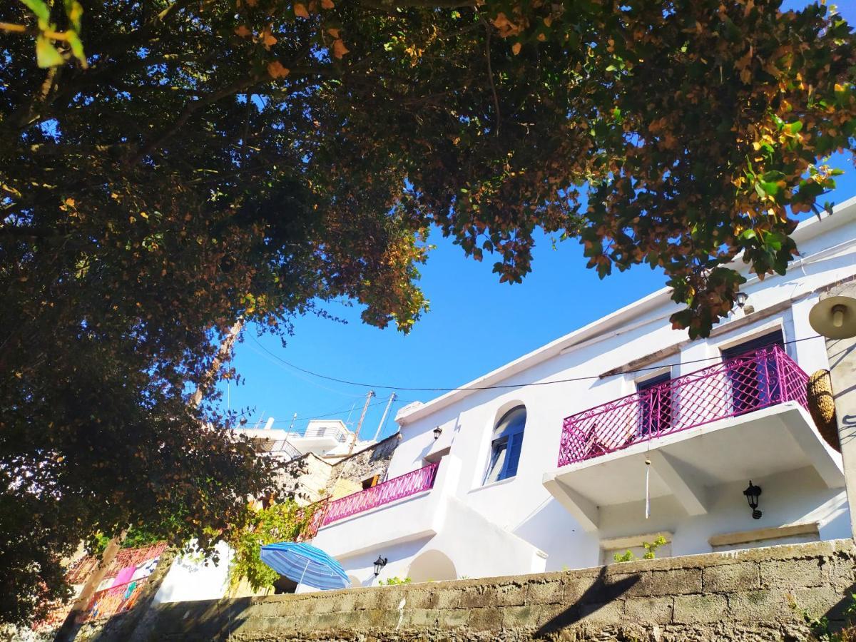 Traditional Family House, Ground Floor With Yard Κόρωνος Εξωτερικό φωτογραφία