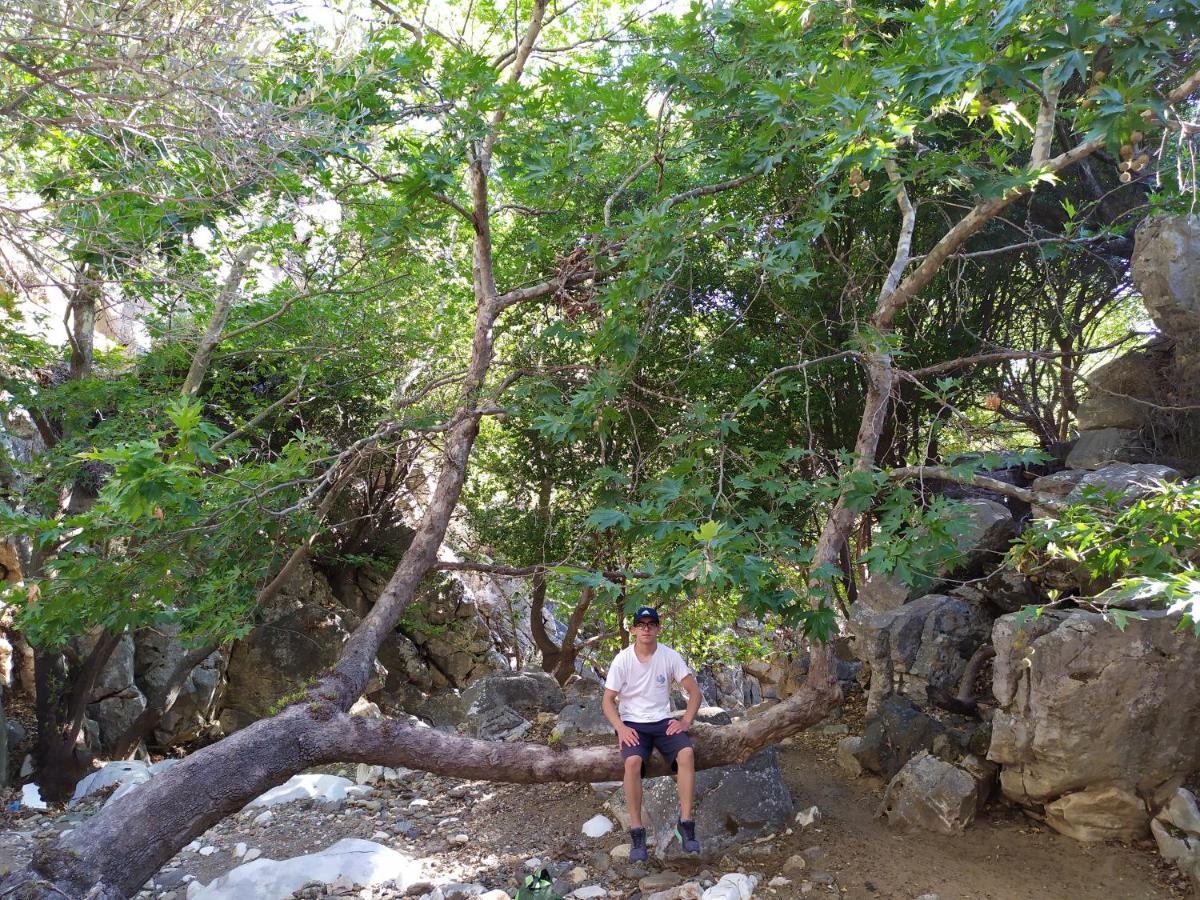 Traditional Family House, Ground Floor With Yard Κόρωνος Εξωτερικό φωτογραφία